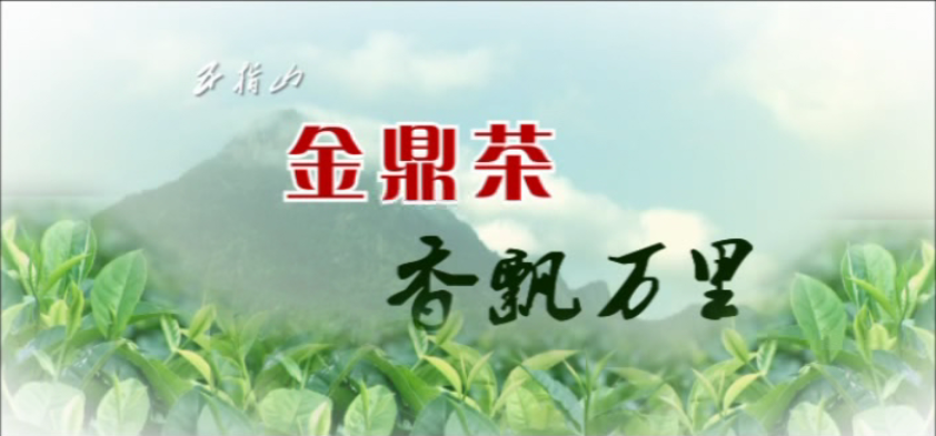 《五指山茶业》专题宣传片